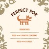 Cave Pets, Super Blend Powder, Dog Probiotic Supplement for Immunity