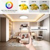 Tyreses LED Ceiling Light Dimmable 24 W, Ceiling Light with