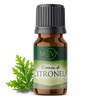 MEVA Esencias para Difusores y Humidificadores de Aromas 5ml Varios