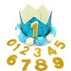 PET SHOW Blue Crown Dog Birthday Party Hat with Bandana