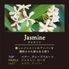 Harukado Carall Seek Gel Jasmine Model Number: 3589