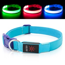 Only Half The Collar Lights LED Dog Collar Light Up Dog Collars USB Rechargeable, Adjustable Size Heavy Duty TPU Nylon Webbing Glow Safety Basic Dog Collars for Large Medium Dogs (M, Royal Blue)