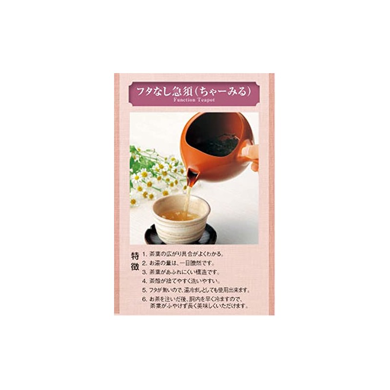 J-kitchens Teapot Capacity (Approximate), 11.8 fl oz (320 cc) (Functional