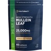 Mullein Leaf Extract 25,000mg | Max Strength Formula for Men