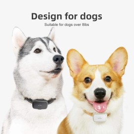 PETBIZ G1-US GPS Pet Tracker, 30 Days Ultra Long-Lasting Battery Lightweight