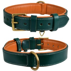 Genuine Leather Dog Collar | Full Grain, Heavy Duty, Comfortable, Padded, Strong | Best for Pups, Small, Medium, Large & XL Breeds (Medium (Fit Neck Size 14.5"-18.5"), Teal Green)