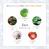 V3 Intelligent Foundation V3 Intelligent Foundation SPICARE SPF50 PA+++ 0.5