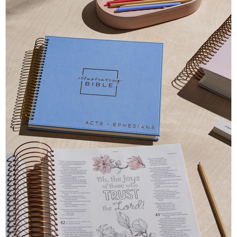 Illustrating Bible NIV: Journal Your Way Through Acts - Ephesians