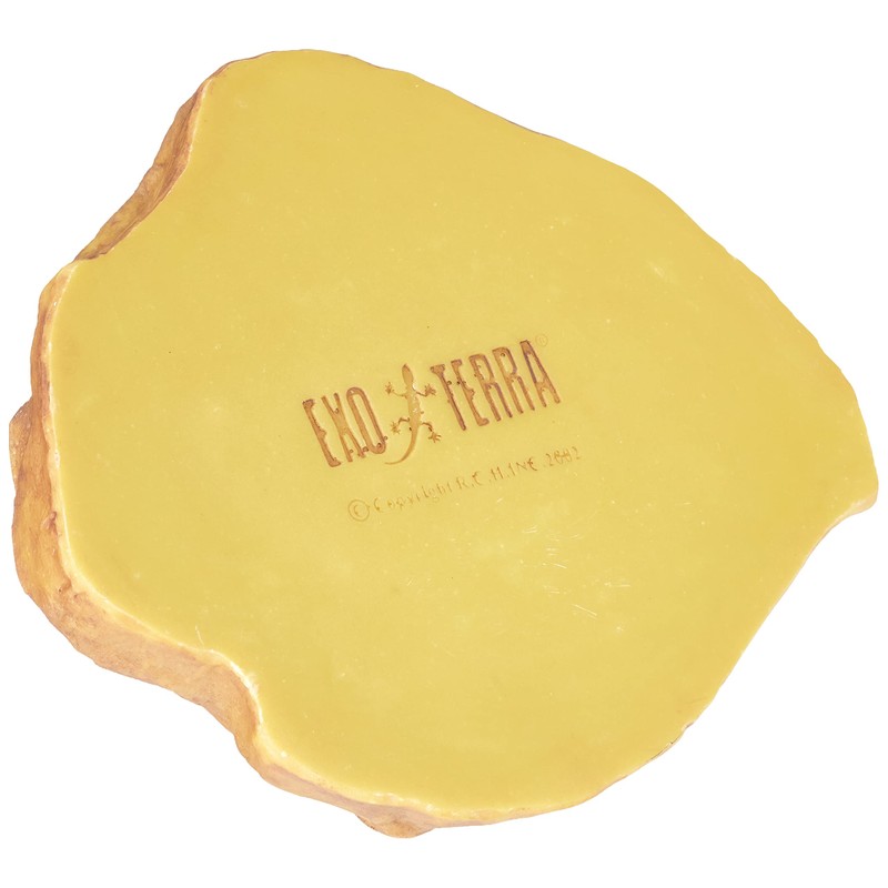 Exo Terra Feeding Dish Large