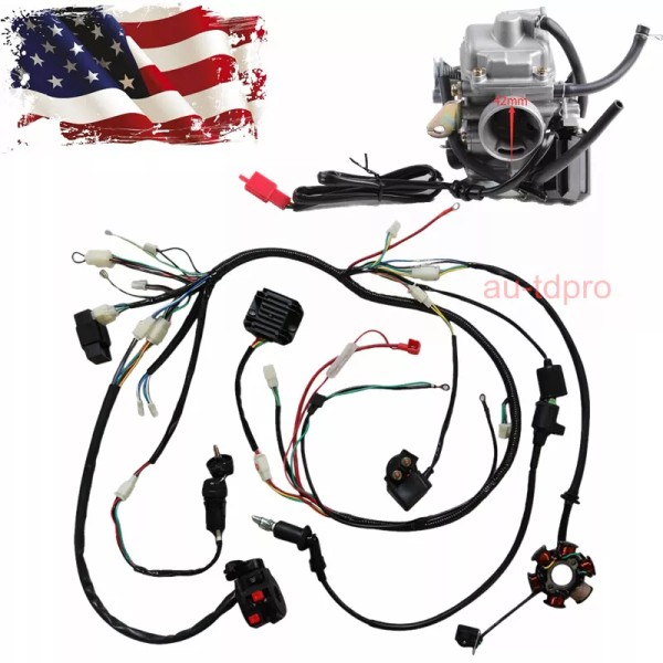 Unbranded/Generic Electric Wiring Harness Kit Magneto Stator Carburetor F GY6