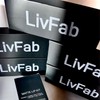 LivFab Waterproof Matte Lip Liner and Lip Lipstick - Color: