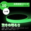 LTI Alpha Flash High Brightness Glow-in-the-dark Tape, 3.3 ft (1