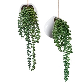 Royal Imports - Plantas artificiales Senecio, cadena de perlas decorativas de cerámica para colgar en la pared, plantas de Rowleyanus, juego de 2