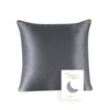 Townssilk 19 Momme 100% Silk Pillowcase 1 Piece 60 x