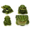 [Distributed in Stone Center] [Carved Figurine] Coin Frog (Pack of