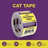 ATack Cat Anti-Scratch Training Tape, Residue-Free and Removable, Clear, 2.5-Inches