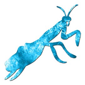 Praying Mantis Insect - Vinyl Decal Sticker - 5.75" x 5.75" - Blue Flames