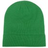 MaxNova St. Patrick's Day Green Beanie Women Men's Slouchy Beanie