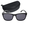 Captain Stag CS-010-1-EH-72 Men's Sunglasses with Sunglasses Case, Plastic Frame,