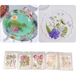 Flores Prensadas, Estilos Surtidos, 100 Piezas, Flores Secas Coloridas para Moldes de Bricolaje, Arte de Uñas, Manualidades de Resina, Invitaciones de Boda, para Varias (Tipo 2)