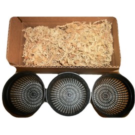 JoelsCarnivorousPlants Three 5 Inch Net Pots with New Zealand Sphagnum Moss