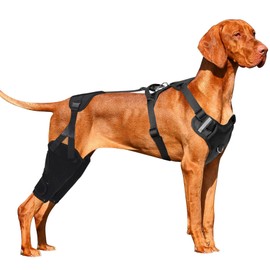 Huimpet Dog Knee Leg Brace, Dog ACL Brace for Back Hind Rear Leg, Dog Leg Support Brace for Torn ACL Tear, Luxating Patella, Hip Dysplasia and Dog Arthritis, Adjustable (X-Large)