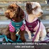 DJANGO Dog Hoodie and Super Soft and Stretchy Sweater with
