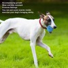 Rubber Dog Food Ball Foraging Training Resistant Bite Chew Toy