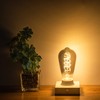 SHUWDKAR 12V Edison Bulb Low Voltage Warm White 2700K E26