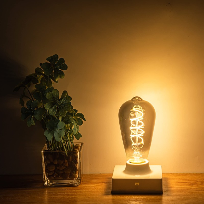SHUWDKAR 12V Edison Bulb Low Voltage Warm White 2700K E26