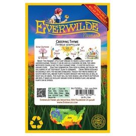 Everwilde Farms - 2000 Creeping Thyme Wildflower Seeds - Gold Vault Jumbo Seed Packet