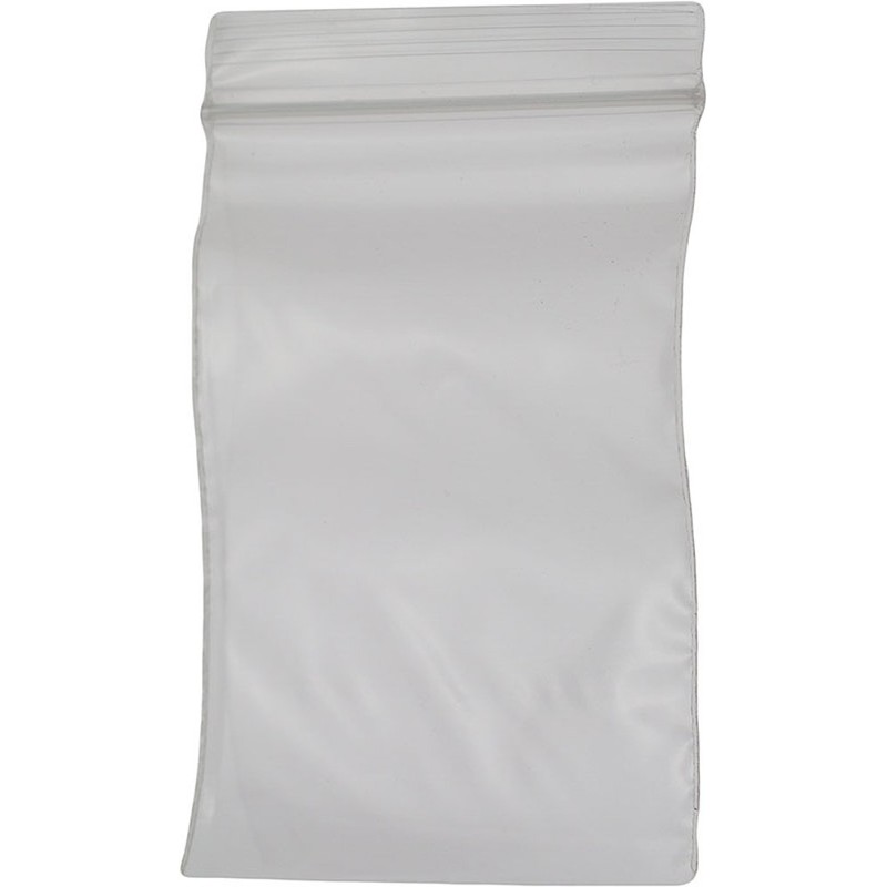 SE 2" x 3" Self-Locking Bags (100 Count) - ZB23