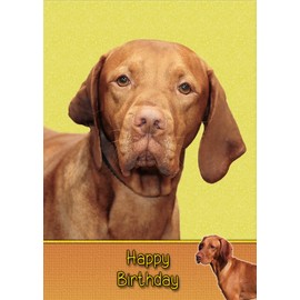 Vizsla Birthday Card