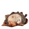 Vivid Arts - Young hedgehog in leaf - XRL-HH09-D