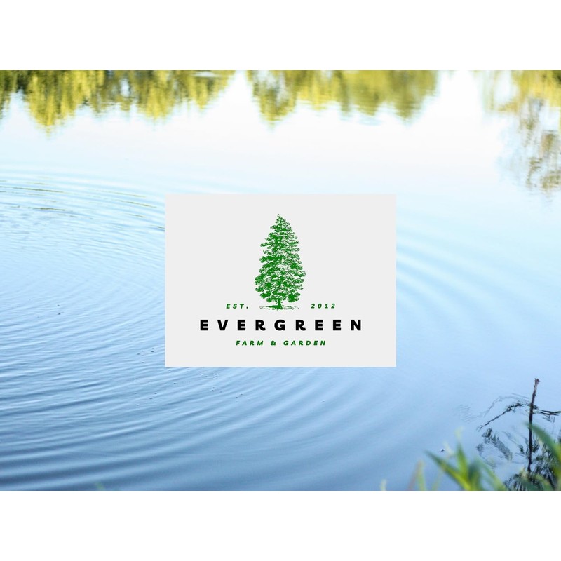 Evergreen Farm and Garden 50 lbs Catfish Food 32% Protein