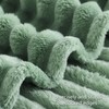 RUIKASI Soft Fleece Blanket Green Throws - Fluffy Warm Throw