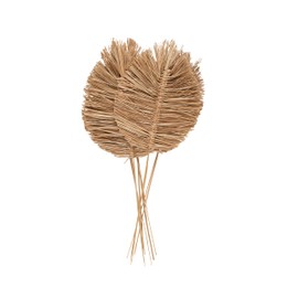 Deco 79 Dried Plant Home Decor Natural Foliage Tall Spear Natural Dried Foliage with Sharp Stems, Foliage for Decoration 17" x 7" x 32", Brown