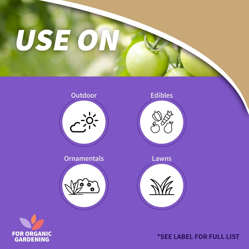 Bonide Captain Jack's Deadbug Brew, 32 oz Concentrate Outdoor Insecticide