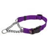 Cetacea Chain Martingale Collar with Quick Release, X-Small, Purple