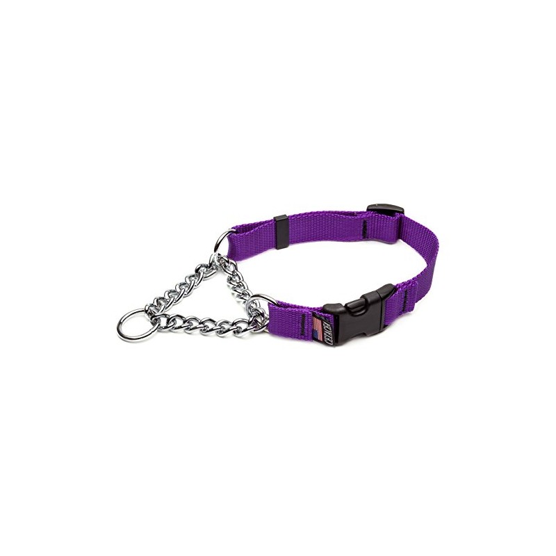 Cetacea Chain Martingale Collar with Quick Release, X-Small, Purple