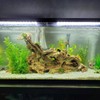 Bilindasly Aquarium Filter Sponge Foam Cut to Fit Biochemical Filter