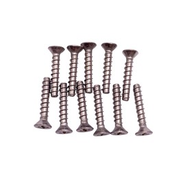 Lamprey Hardware Skimmer Stainless Steel 11 Piece Screw Kit fits Aquador 1050 71050 Faceplate - LHSL11