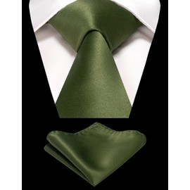 RBOCOTT Olive Green Tie and Pocket Square Necktie Set for Men(27)
