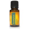 doTERRA Eucalyptus Radiata Essential Oil - 15 mL