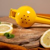 bremermann Citrus Juicer Set of 3 for Oranges, Lemons and