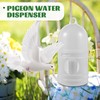 2Pcs Pigeon Water Feeding Dispenser, 1L Bird Water Drinker Pigeons