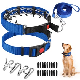 Prong Training Collar with Comfort Tips and Quick Release Snap Buckle - Dog Choke Pinch Collar with Nylon Cover - Classic Collar and Leash