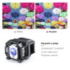 Huaute V13H010L67 ELPLP67 Projector Lamp with Housing for Epson EB