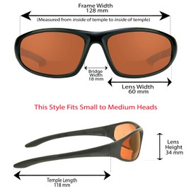 Bikershades Motorcycle Bifocal Sunglasses +250 HD Blue Blocking Z87 Safety Polycarbonate Lenses