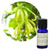 Flavor Life Ylang-Ylang Essential Oils 10ml